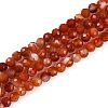 Natural Banded Agate Beads Strands G-P553-G09-02-1