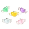 Transparent Resin with Alloy Pendants RE-CBA14F0-06-1