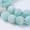 Natural Amazonite Beads Strands G-J376-19F-10mm-3