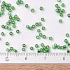 MIYUKI Delica Beads SEED-J020-DB0046-3