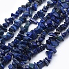 Natural Lapis Lazuli Beads Strands X-G-P332-14-1