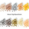 100G 10 Colors Baking Paint Pearlized Glass Seed Beads SEED-YW0002-82-1