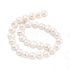 Natural Cultured Freshwater Pearl Beads Strands PEAR-C003-12G-3