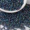 MIYUKI Round Rocailles Beads X-SEED-G008-RR0249-1