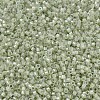 MIYUKI Delica Beads X-SEED-J020-DB1765-3