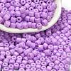 Baking Paint Pearlized Glass Seed Beads SEED-C001-04A-12-1