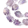 Electroplate Raw Rough Natural Amethyst Beads Strands G-Q610-06F-4