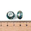 Transparent Glass European Beads GPDL-N004-D14mm-A10-3