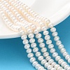 Natural Cultured Freshwater Pearl Beads Strands PEAR-I007-02E-03C-1