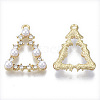 Alloy Pendants PALLOY-T077-16-2