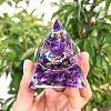 Natural Amethyst Display Decorations PW-WG0062E-01-4