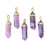 Natural Lepidolite/Purple Mica Stone Pointed Pendants G-G025-01G-30-1