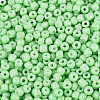 8/0 Baking Paint Glass Round Seed Beads SEED-S036-01B-02-3