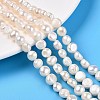 Natural Cultured Freshwater Pearl Beads Strands PEAR-N014-07J-1