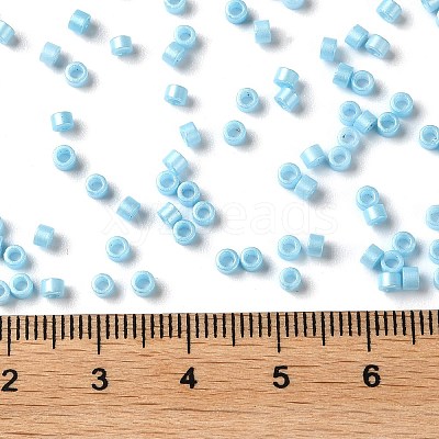Baking Paint Glass Seed Beads X-SEED-S042-15A-10-1