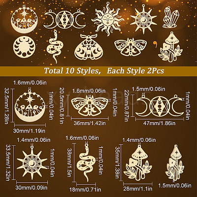 20Pcs 10 Style Ion Plating(IP) 201 & 304  Stainless Steel Pendants STAS-SC0004-74-1