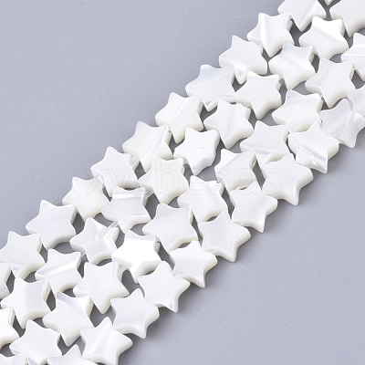 Natural Trochid Shell/Trochus Shell Bead Strands SSHEL-N034-68A-1