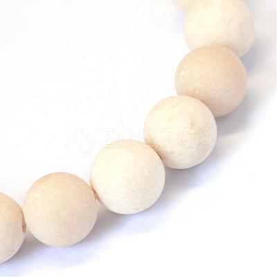 Frosted Natural Fossil Round Bead Strands G-E334-4mm-22-1