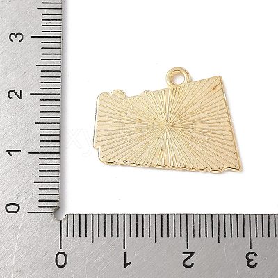 Alloy Enamel Pendants FIND-H047-04G-02-1