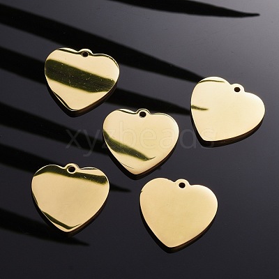304 Stainless Steel Pendants STAS-I140-10A-G-1
