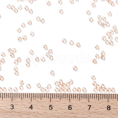 TOHO 11/0 Round Beads X-SEED-TR11-1813-1