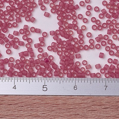 MIYUKI Delica Beads X-SEED-J020-DB0778-1