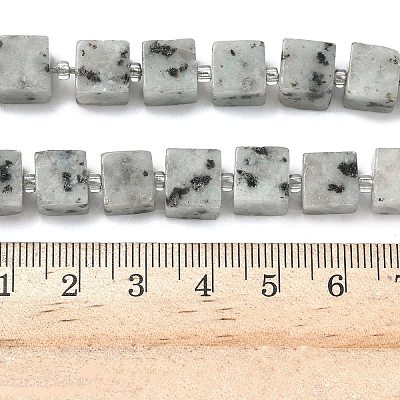 Natural Sesame Jasper Beads Strands G-D338-A20-1