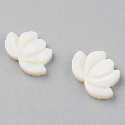 Natural Freshwater Shell Beads SHEL-S276-103-1