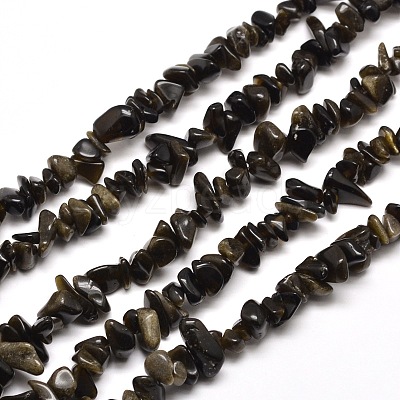 Natural Golden Sheen Obsidian Chip Bead Strands G-M205-07-1
