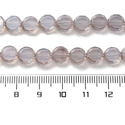 Electroplate Glass Beads Strands EGLA-C010-01A-PL04-1