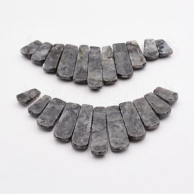 Natural Larvikite Beads Strands G-P298-J01-1