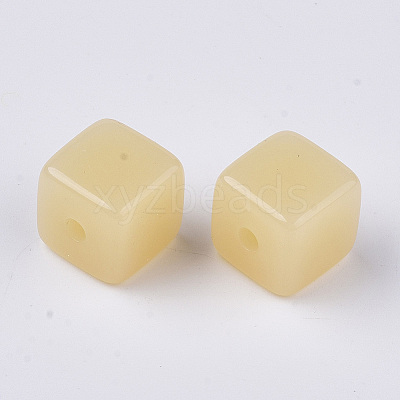 Imitation Jelly Acrylic Beads LS-JACR-R022-A05-1