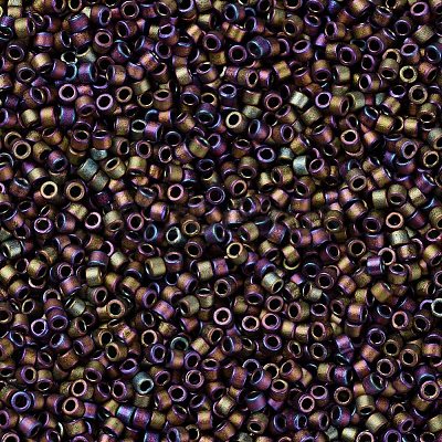 MIYUKI Delica Beads Small SEED-X0054-DBS1055-1