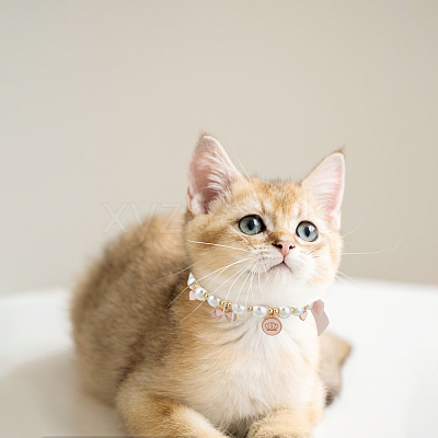 2Pcs Glass Pearl Beads & Iron Chain Pet Collar NJEW-DR00004-1