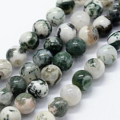 Natural Tree Agate Beads Strands G-I199-03-6mm-1