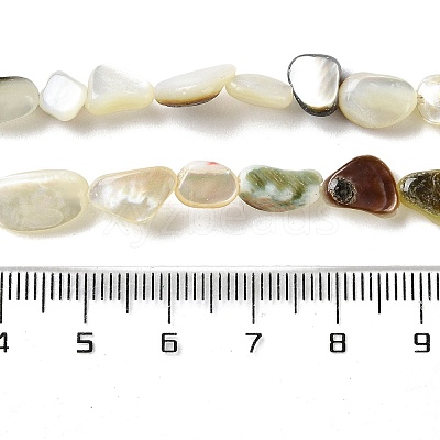 Natural Black Lip Shell Beads Strands SHEL-G020-04-1