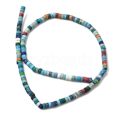 Dyed Synthetic Turquoise Beads Strands G-Z089-A04-R-1