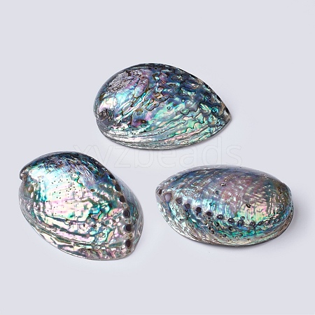 Natural Abalone Shell/Paua ShellDecoration SSHEL-K024-01B-1