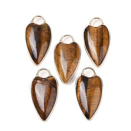 Natural Tiger Eye Pendants G-G193-02G-10-1