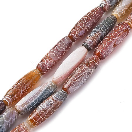Natural Weathered Agate Beads Strands G-P570-C03-01-1