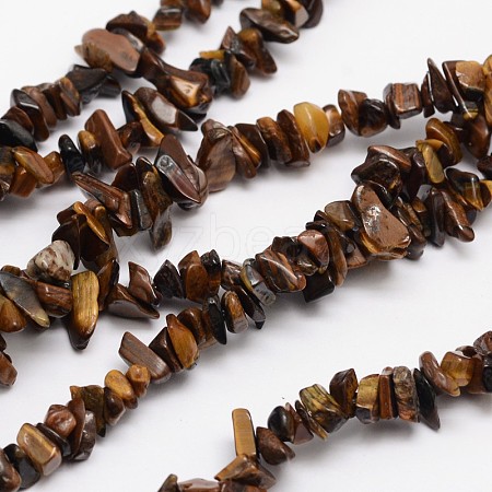 Chips Natural Tiger Eye Beads Strands G-N0164-66-1