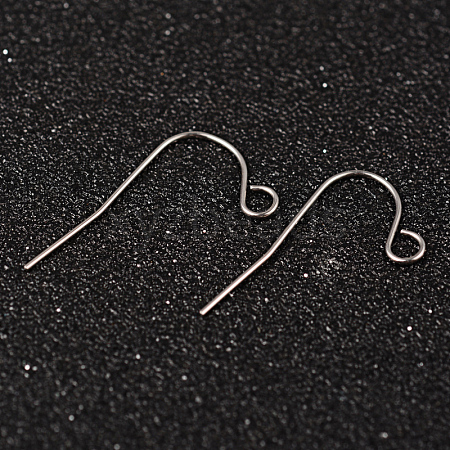 Tarnish Resistant 304 Stainless Steel Earring Hook Jewelry Findings STAS-M248-02-1