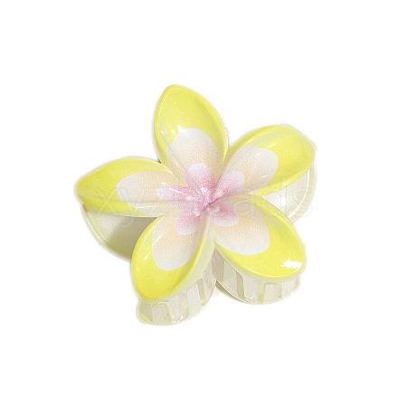 Resin Claw Hair Clips PW-WGCCCD9-06-1