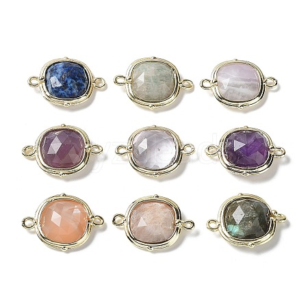 Natural Mixed Gemstone Connector Charms G-C087-01G-B-1