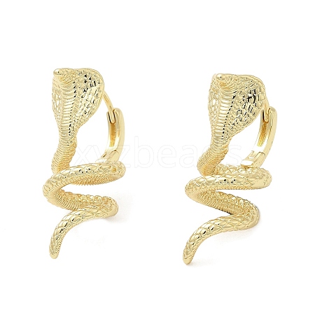 Rack Plating Brass Hoop Earrings EJEW-F324-05G-1