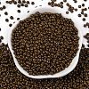 8/0 Baking Paint Glass Seed Beads SEED-M012-02A-53-2