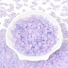 Frosted Glass Seed Beads SEED-N008-05G-2