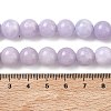 Dyed Natural Malaysia Jade Beads Strands G-G021-02C-27-2