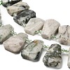 Natural Tree Agate Beads Strands G-H078-A09-01-3