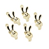 Alloy Enamel Pendants PALLOY-D011-05LG-2